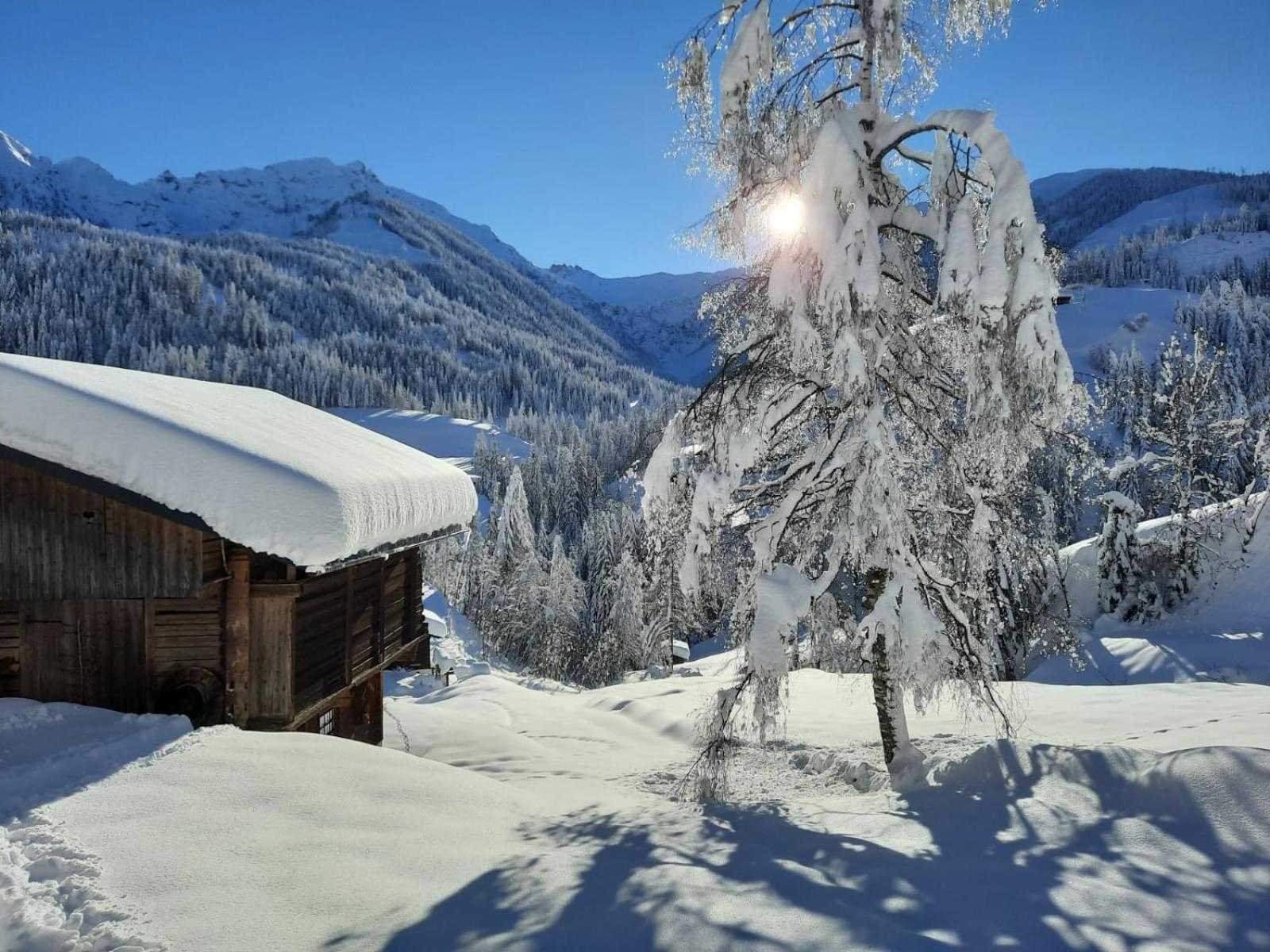 Ferienhaus Wassermuehle Maria Luggau Buitenkant foto